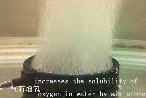 超微氣泡發生器1.jpg
