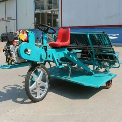 新型水稻插秧機 大型六行全自動高速栽秧機 農(nóng)用機械水田拋秧機