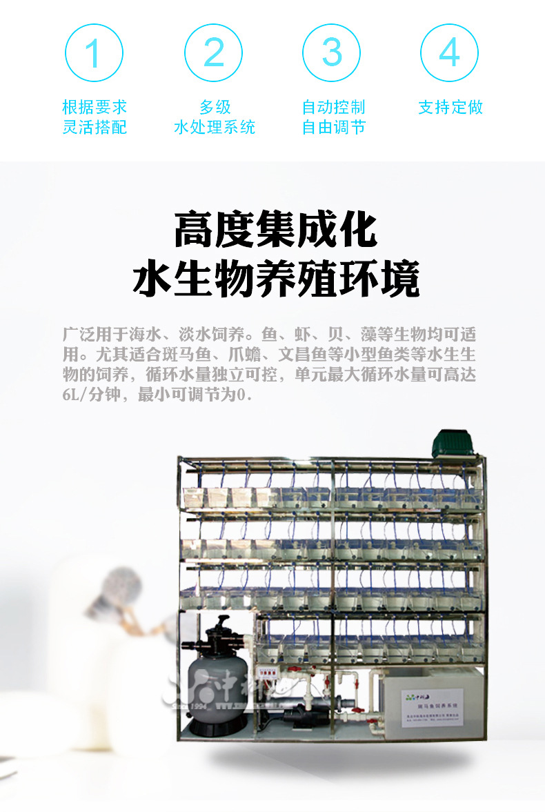 002斑馬魚.jpg