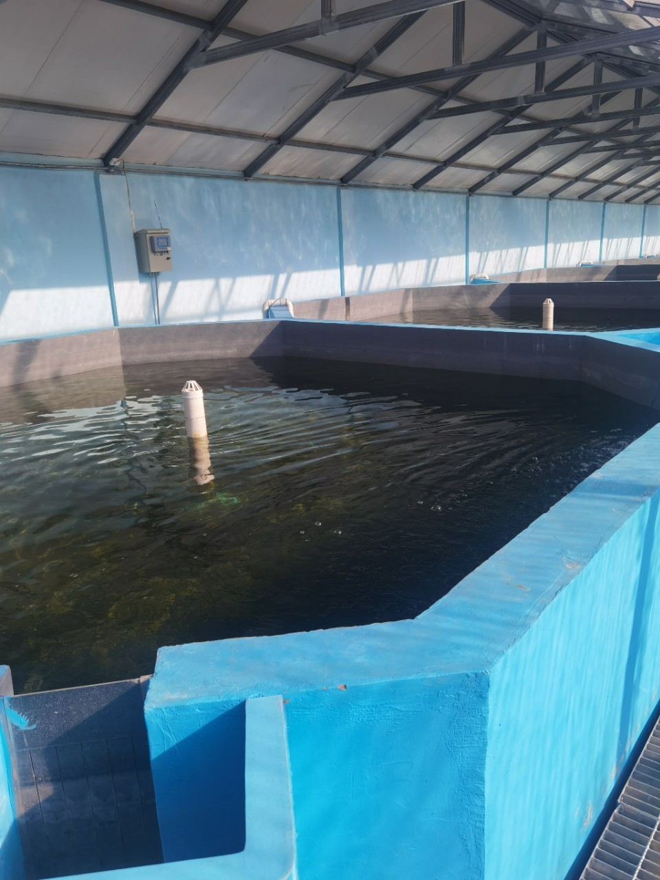 曝氣增氧系統水產養殖系統設備室內育苗養殖設備水產增氧曝氣