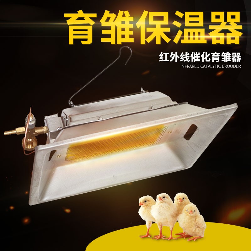孵化出雛一體機紅外線催化育雛器 紅外線育雛保溫器 養(yǎng)雞設備