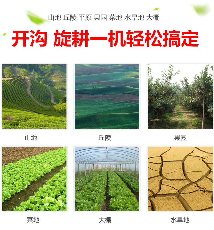 六圖