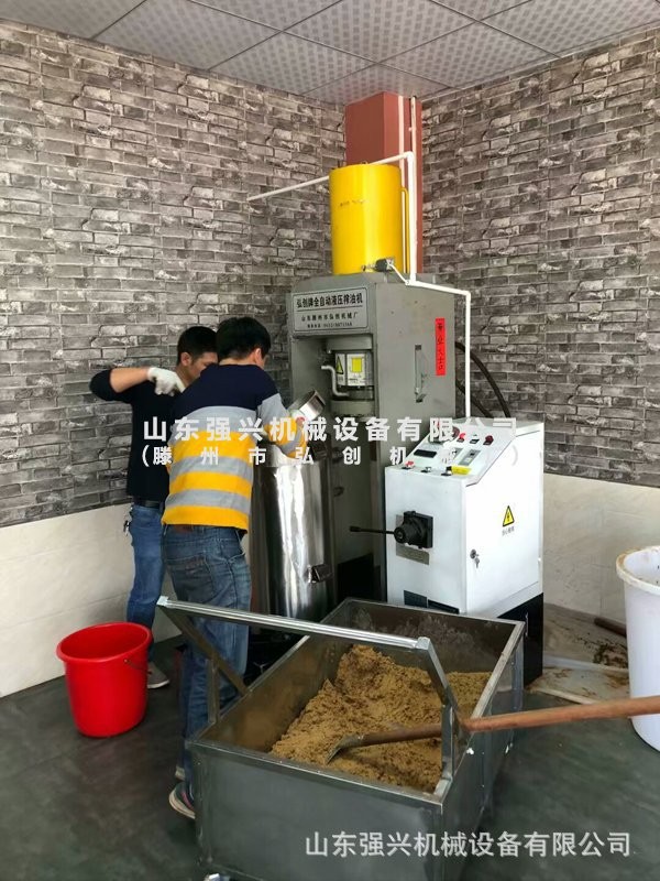 全自動(dòng)榨菜籽油機(jī)器 全自動(dòng)榨芝麻油機(jī)器 全自動(dòng)榨茶籽油機(jī)器