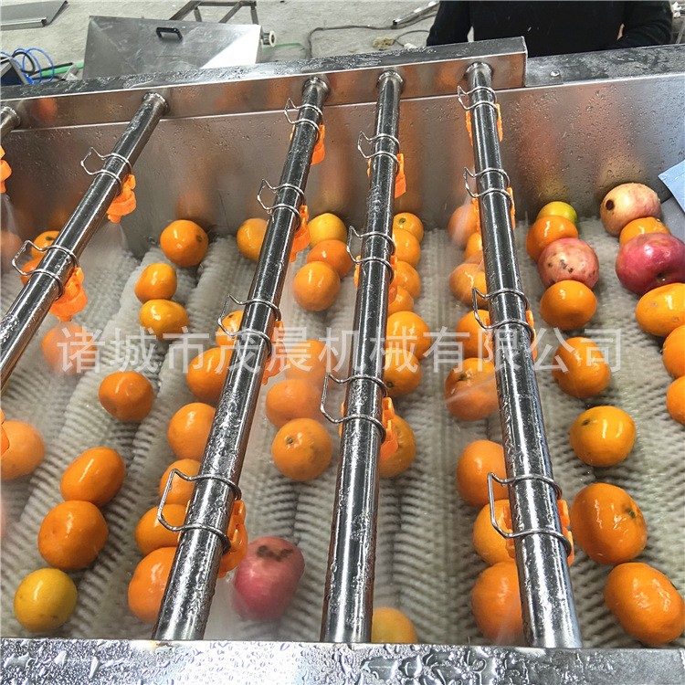 干棗紅棗臍橙清洗機(jī) 毛刷噴淋果蔬清洗機(jī) 大型自動洗果風(fēng)干線廠家
