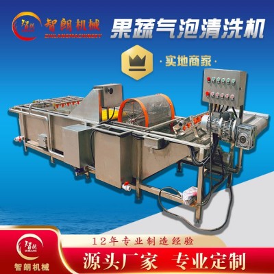 果蔬氣泡清洗機 全自動連續(xù)式清洗設(shè)備 去雜汽泡清洗機廠家