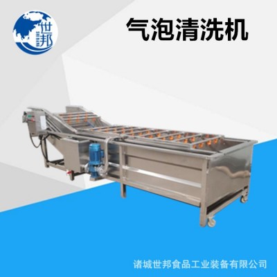 蔬菜清洗機葉類菜全自動氣泡流水像草莓生姜清洗設(shè)備