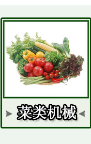 笙輝批發 汽泡清洗機洗果機大棗果蔬清洗機 供貨商