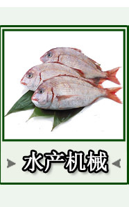 笙輝批發 汽泡清洗機洗果機大棗果蔬清洗機 供貨商