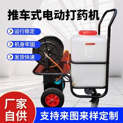 農用高壓噴霧機手推式電動噴霧器 手推式養殖農用打藥機跨境批發