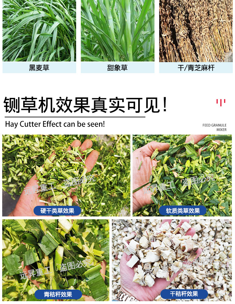 詳情 (3).jpg