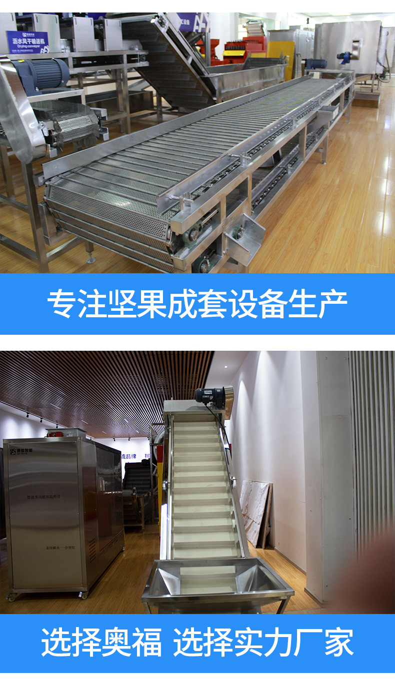 堅果清洗提升機(jī)_10.jpg