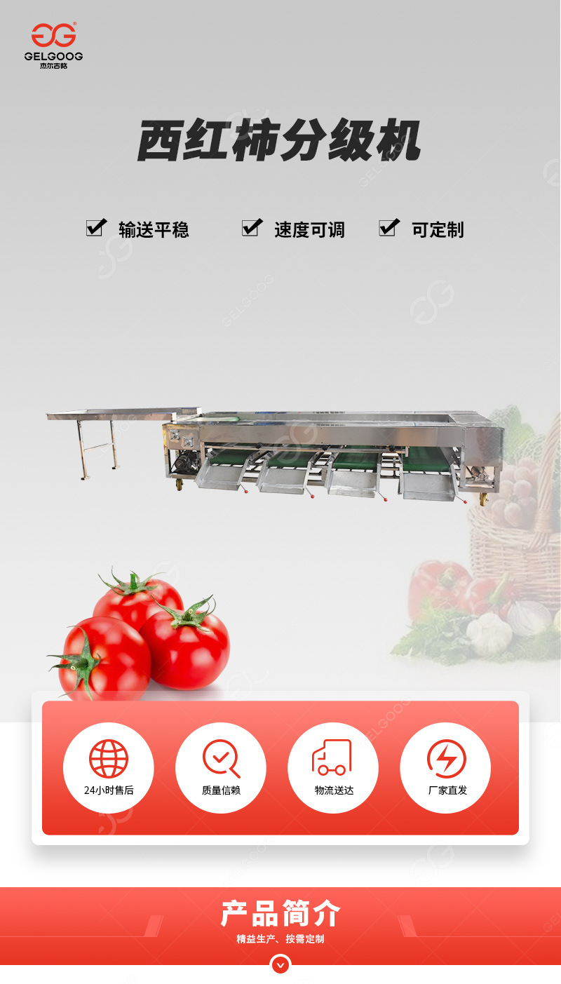 西紅柿滾杠分級(jí)機(jī)首圖xin_01