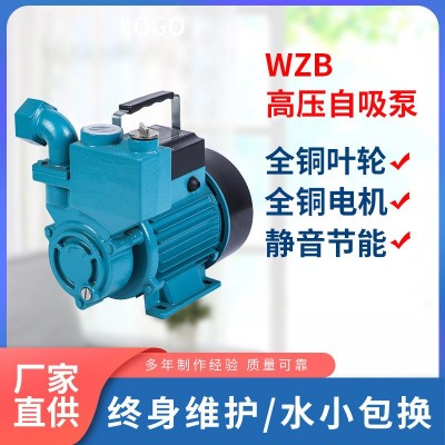 水泵家用自來(lái)水自吸增壓泵全自動(dòng)靜音加壓泵220v高揚(yáng)程水井抽水泵