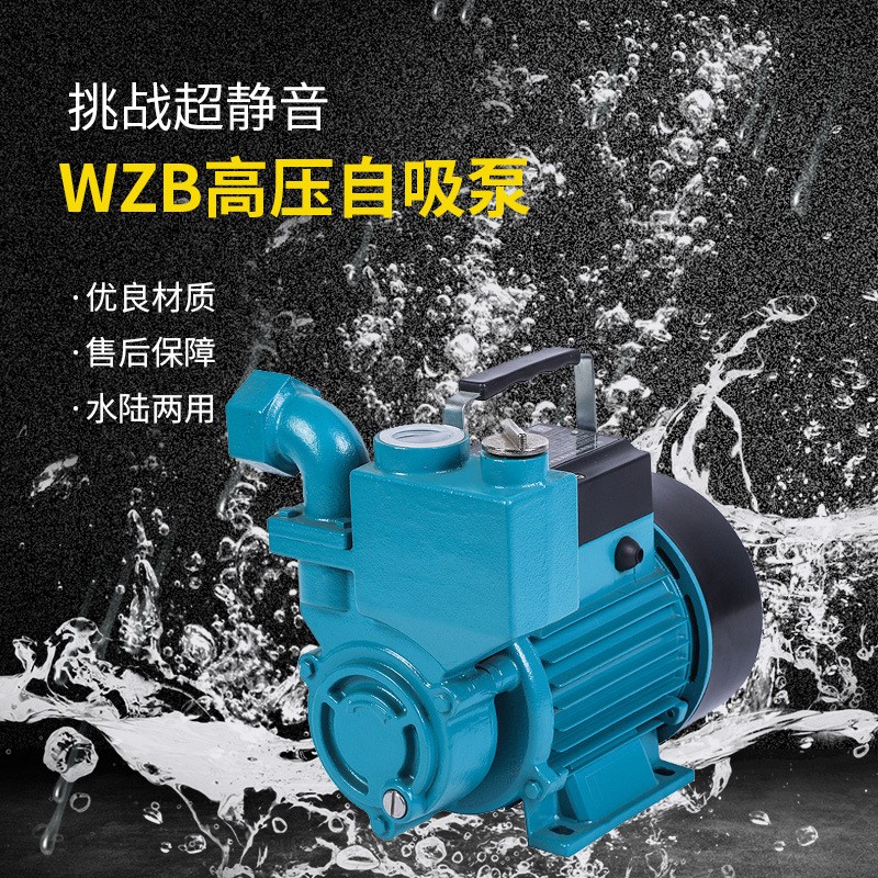水泵家用自來水自吸增壓泵全自動靜音220v高揚程水井抽水泵定制