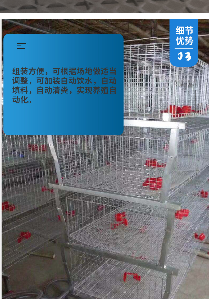 肉雞籠_07