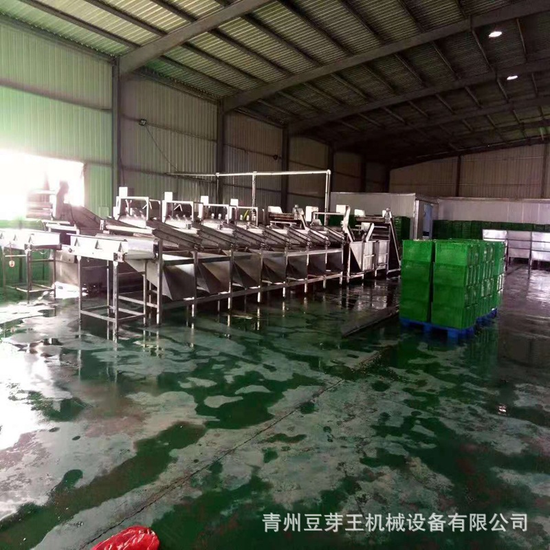 綠豆芽清洗機