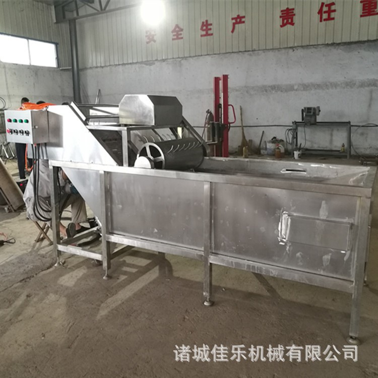 全自動(dòng)蔬菜清洗機(jī) 果蔬海帶清洗機(jī) 氣泡清洗設(shè)備 氣泡清洗機(jī)
