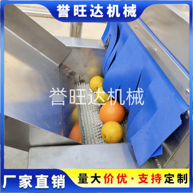 山竹橙子清洗機 自動鼓泡水果清洗機 小型打蠟分級風干洗臍橙機