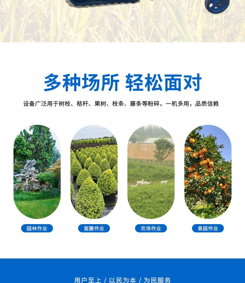 ST-786多功能碎枝除草機(1)_004.jpg
