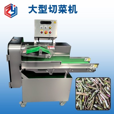 多功能大型切菜機 TJ-360A 自動新鮮石斛切段設備 長度可調