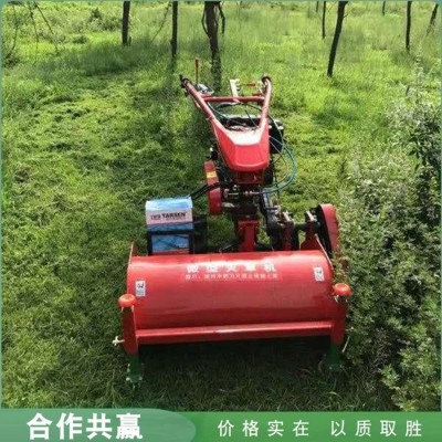 農用開荒種植碎草機 汽油柴油動力除草機 手扶自走式前置滅草機