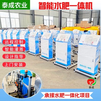 水肥一體化智能施肥機 農(nóng)業(yè)大棚滴灌果園施肥 多通道水 肥一體機