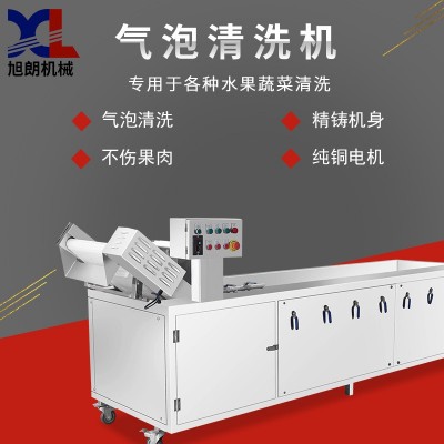 旭朗氣泡清洗機全自動小型葡萄紅棗水果風(fēng)干洗菜機果蔬清洗機工廠