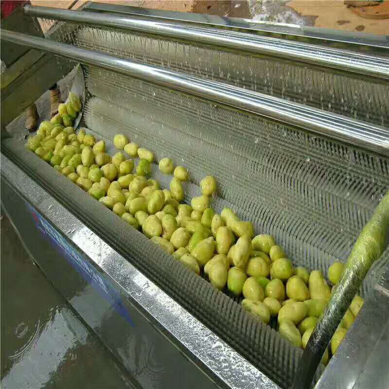 羅漢果清洗機 毛桃黃桃平行毛輥清洗機 大姜去皮去泥沙毛輥清洗機