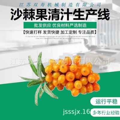 廠家直銷大量優(yōu)質(zhì)的沙棘果原汁清汁濃縮汁濁汁果醬飲料生產(chǎn)線