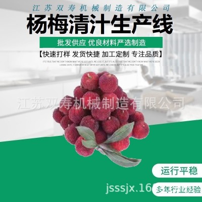 廠家直銷優質的楊梅原汁清汁濃縮汁濁汁果醬飲料生產線