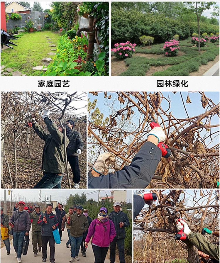 未標(biāo)題-1_05.jpg