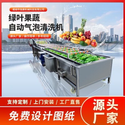 多功能全自動果蔬蔬菜清洗機氣泡式噴淋豆角清洗機洗菜機設備廠家
