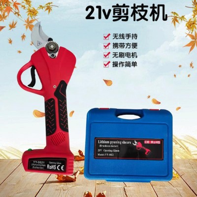 樹(shù)木枝條修剪設(shè)備鋰電池園藝手持式花枝剪 充電式加長(zhǎng)桿剪枝機(jī)