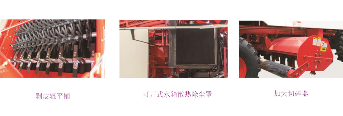 春雨CP M40細(xì)節(jié)圖
