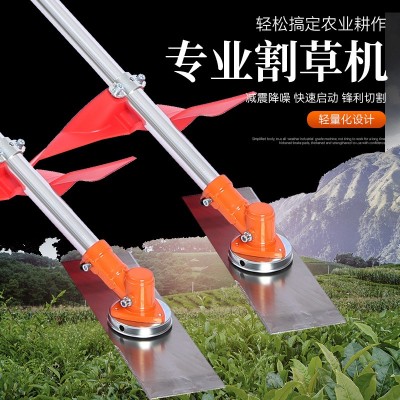 工廠定制園林割草機側(cè)掛背負式割灌機園林修剪工具草坪機打草機