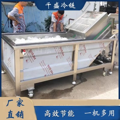 農產品清洗機 蔬菜深加工設備 果蔬清洗設備 清洗流水線