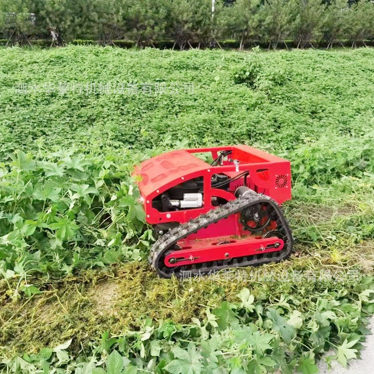 小型遙控割草機 履帶式自行走山坡河道雜草除草機出口果園割草機
