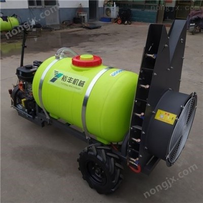 果樹(shù)打藥機(jī) 果園噴霧機(jī)*