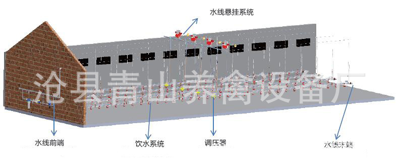 供應養雞水線 全自動養雞水線 肉雞養殖設備 平養雞料線 水線