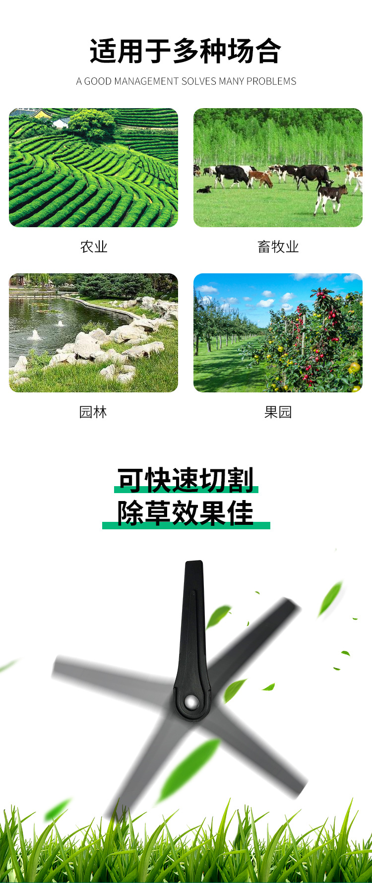 詳情_02.jpg