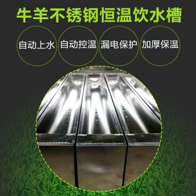 牛羊養(yǎng)殖場不銹鋼恒溫飲水槽 自動加水飲水器