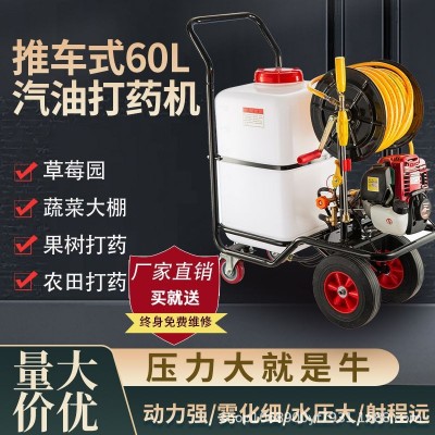 汽油打藥機(jī)手推式電動(dòng)打藥機(jī)消毒養(yǎng)殖場(chǎng)專用農(nóng)用高壓四沖程噴霧器