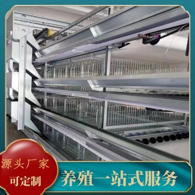 廠家批發全自動小層疊蛋雞養殖籠具籠養雞用設備三層四層蛋雞籠