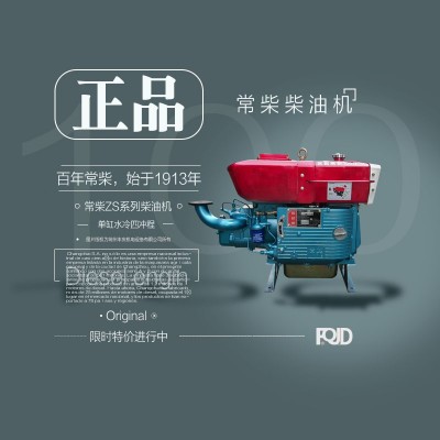 正宗常柴牌單缸柴油機ZS1115，1110，1100手啟動/電啟動