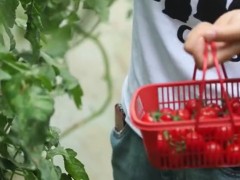“汗水農(nóng)業(yè)”變“智慧農(nóng)業(yè)”，鄉(xiāng)村振興更顯“科技范兒